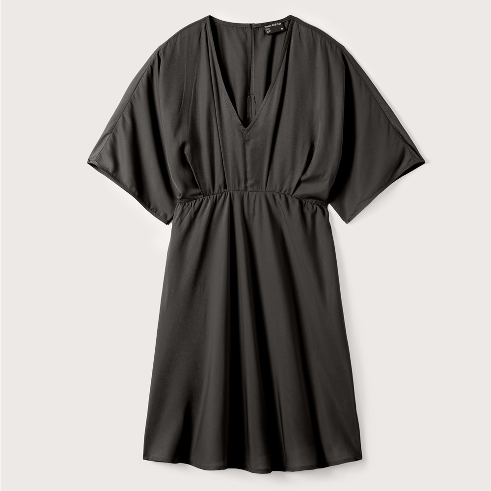 NWT Frank and Oak Dress